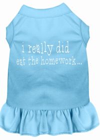 I really did eat the Homework Screen Print Dress