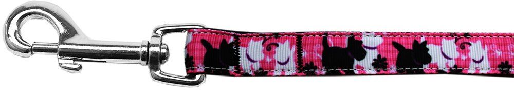 Plaid Pups Nylon Ribbon Pet Leash (Option: 5/8 inch wide 4Ft Lsh)