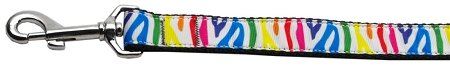 Zebra Rainbow Nylon Dog Leash (Option: 3/8 inch wide 6ft Long)