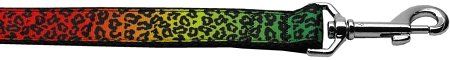 Rainbow Leopard Nylon Dog Leash (Option: 5/8 inch wide 4ft Long)