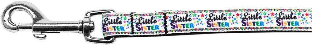 Little Sister Nylon Ribbon Pet Leash (Option: 5/8 inch wide 6Ft Lsh)