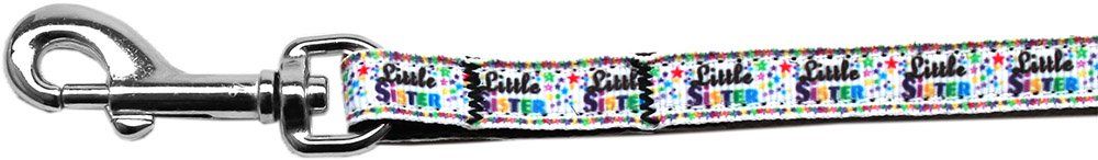 Little Sister Nylon Ribbon Pet Leash (Option: 3/8 inch wide 6Ft Lsh)