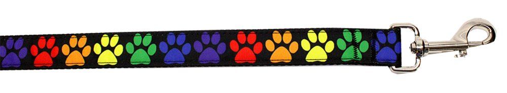 Rainbow Paws Nylon Pet Leash (Option: 5/8in by 4ft)
