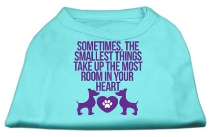 Smallest Things Screen Print Dog Shirt (Option: Aqua Sm)