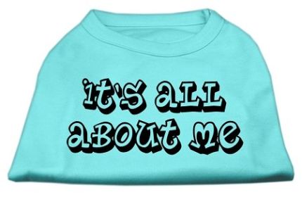 It's All About Me Screen Print Shirts (Option: Aqua XXL)