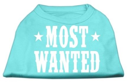 Most Wanted Screen Print Shirt (Option: Aqua XXXL)