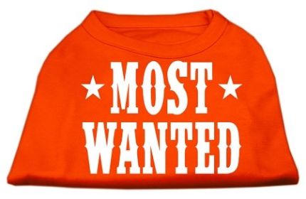 Most Wanted Screen Print Shirt (Option: Orange XXL)