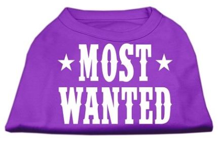 Most Wanted Screen Print Shirt (Option: Purple XXXL)