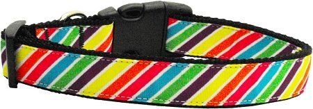 Striped (Option: Rainbow Nylon Dog Collar Medium Narrow)