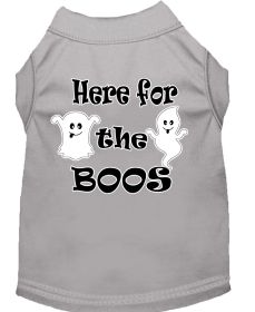 Here for the Boos Screen Print Dog Shirt (Option: Grey XS)
