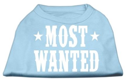 Most Wanted Screen Print Shirt (Option: Baby Blue Med)
