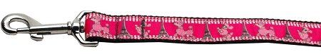 Poodles in Paris Nylon Dog Leash (Option: 5/8 inch wide 6ft Long)