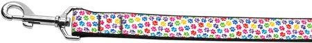 Confetti Paws Nylon Dog Leash (Option: 5/8 inch wide 4ft Long)