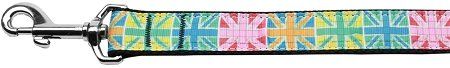 Multi Color UK Flag Nylon Dog Leash (Option: 5/8 inch wide 4ft Long)