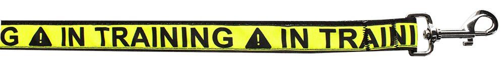 In Training Caution Tape Nylon Pet Leash (Option: 5/8in by 6ft)