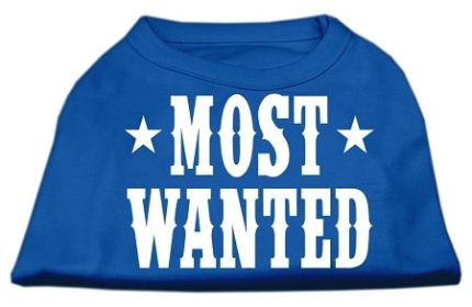 Most Wanted Screen Print Shirt (Option: Blue XL)