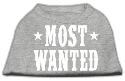 Most Wanted Screen Print Shirt (Option: Grey XL)