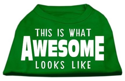 This is What Awesome Looks Like Dog Shirt (Option: Emerald Green Med)