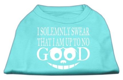 Up to No Good Screen Print Shirt (Option: Aqua XL)