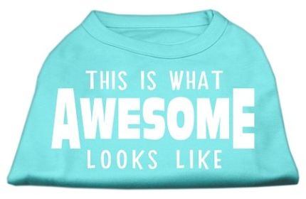 This is What Awesome Looks Like Dog Shirt (Option: Aqua Med)