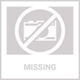 New Bitch in Town Screen Print Dog Shirt (Option: Baby Blue XS)